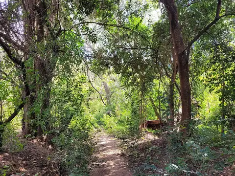 Terreno en Venta en San Marcos Sierra, Cruz del Eje