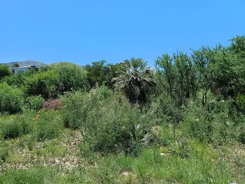 Terreno en Venta en Capilla del Monte, Punilla
