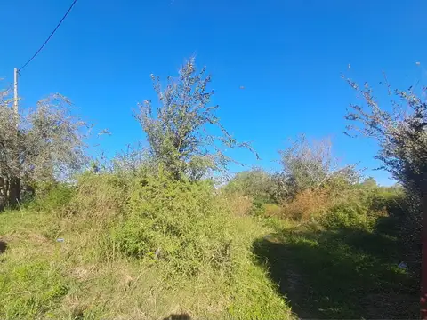 Terreno en Venta en Villa Del Prado, Villa del Prado