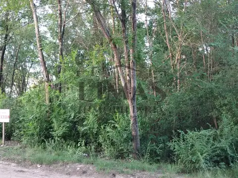 Terreno en Venta en Los Reartes, Calamuchita