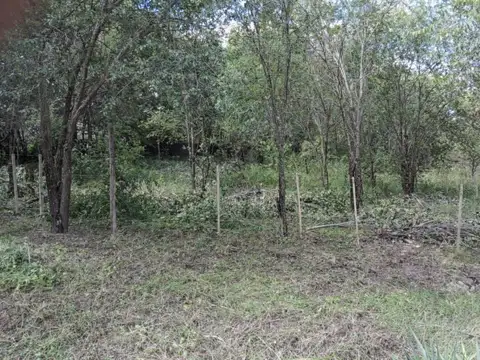 Terreno en Venta en Molinari, Punilla