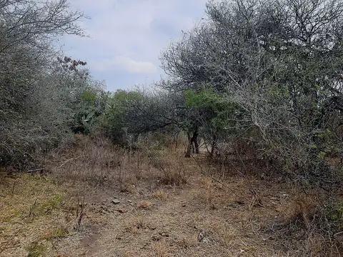 Terreno en Venta en Charbonier, Punilla