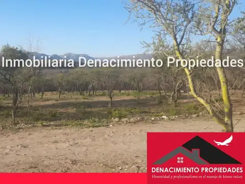 Terreno en Venta en San Lorenzo, San Alberto