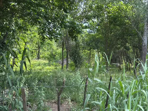 Terreno en Venta en Las Chacras, San Javier