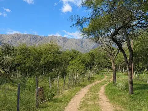 Terreno en Venta en Las Chacras, San Javier