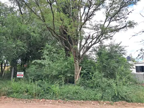 Terreno en Venta en El Vergel, Los Reartes