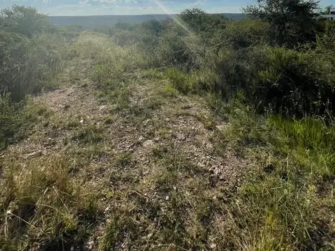 Terreno en Venta en San Lorenzo, San Alberto