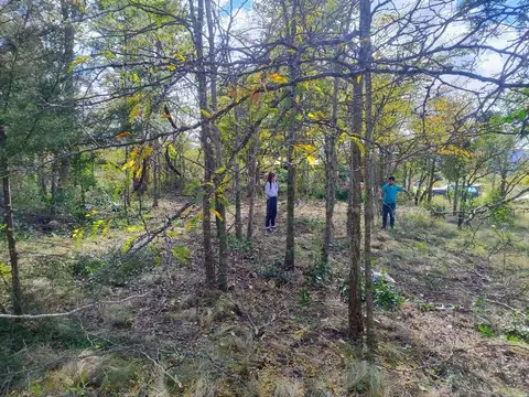 Terreno en Venta en Villa Giardino, Punilla