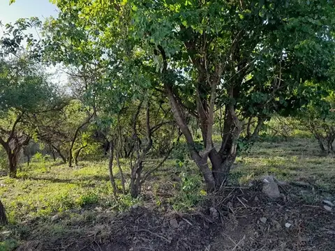 Terreno en Venta en Villa la Bolsa, Santa María