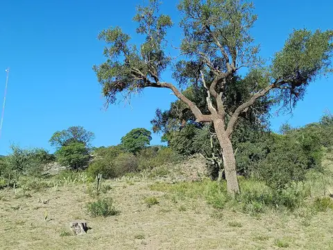 Terreno en Venta en Punilla, Córdoba