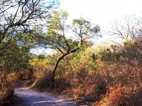 Terreno en Venta en San Marcos Sierra, Cruz del Eje