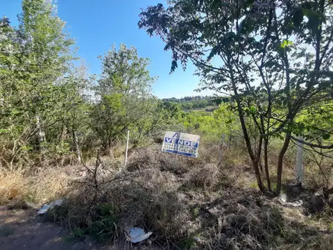 Terreno en Venta en Bialet Masse, Punilla