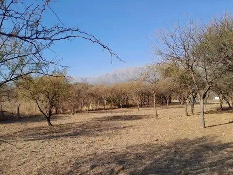 Terreno en Venta en Cruz de Caña, San Javier