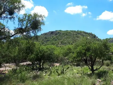 Terreno en Venta en San Marcos Sierra, Cruz del Eje