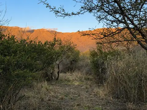 Terreno en Venta en Loma Bola, San Javier