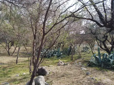 Terreno en Venta en Loma Bola, San Javier