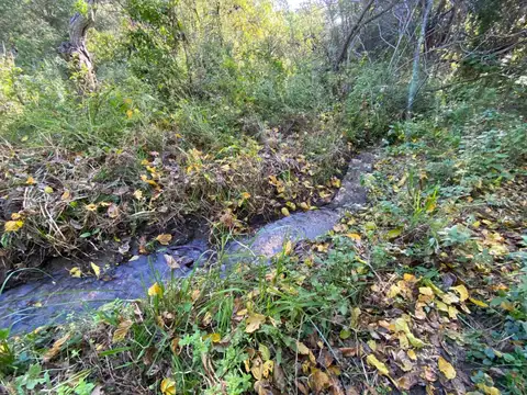 Terreno en Venta en Quebracho Ladeado, San Javier