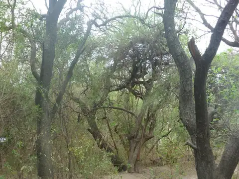 Terreno en Venta en San Marcos Sierra, Cruz del Eje