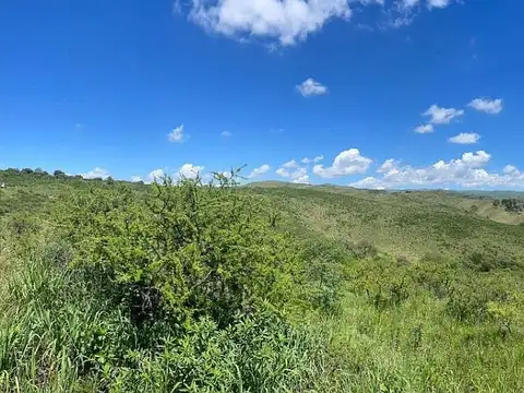 Terreno en Venta en Candonga, Colón