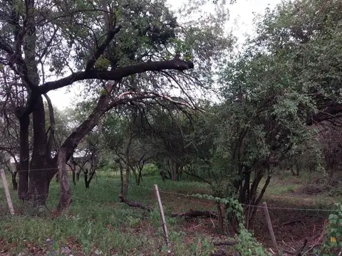 Terreno en Venta en Las Chacras, San Javier