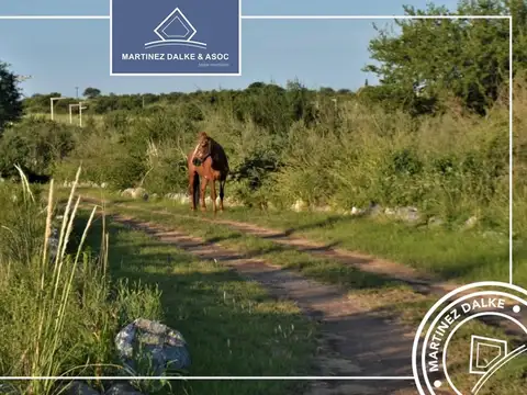 Terreno en Venta en Barrio La Marianita, Villa Anisacate