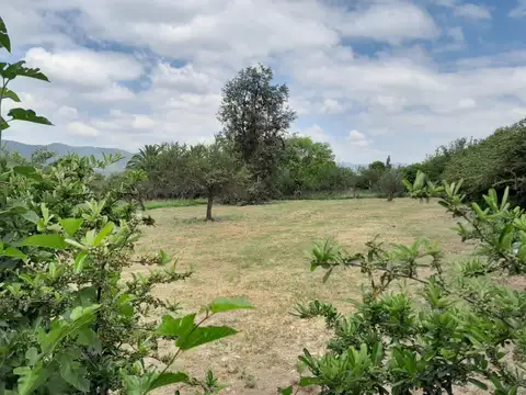 Terreno en Venta en Nueva Cordoba, Cordoba