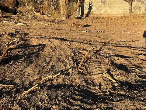 Terreno en Venta en Cruz del Eje, Córdoba