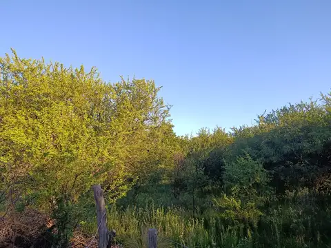Terreno en Venta en Villa de las Rosas, San Javier