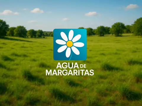 Terreno en Venta en Quebracho Ladeado, San Javier