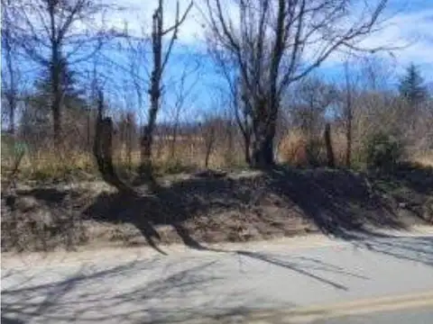 Terreno en Venta en Las Calles, San Alberto