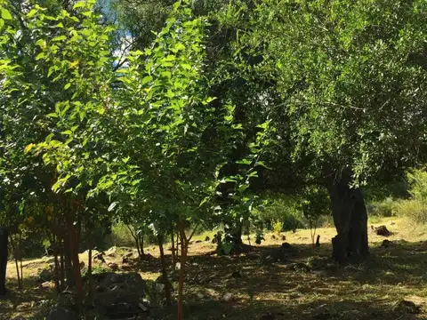 Terreno en Venta en La Travesia, San Javier