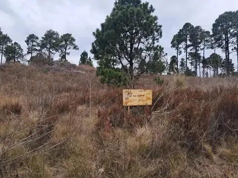 Terreno en Venta en Villa Berna, Calamuchita