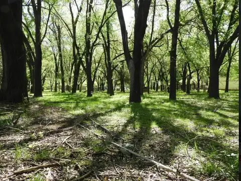 Terreno en Venta en Río Ceballos, Colón