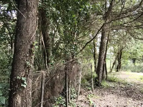 Terreno en Venta en Salsipuedes, Colón
