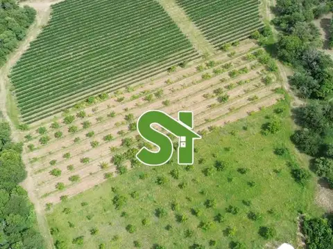 Terreno en Venta en Las Chacras, San Javier