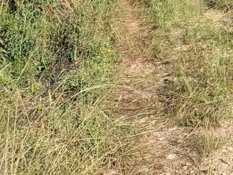 Terreno en Venta en Arroyo de los Patos, San Alberto