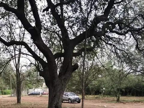 Terreno en Venta en Cuatro Hojas, Mendiolaza