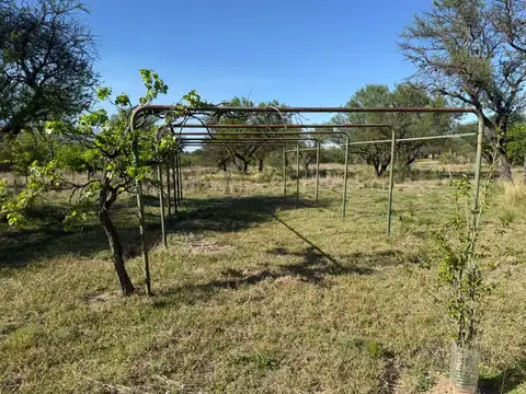 Terreno en Venta en Nono, San Alberto