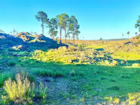 Terreno en Venta en Yacanto Calamuchita, Calamuchita