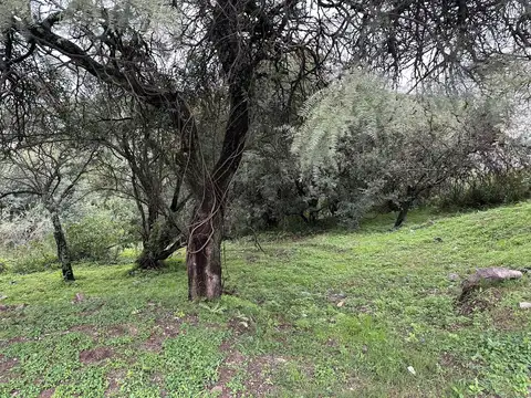 Terreno en Venta en Cinco Lomas, Countries y Barrios Cerrados en Cordoba Capital