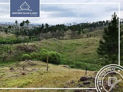 Terreno en Venta en Villa Berna, Calamuchita