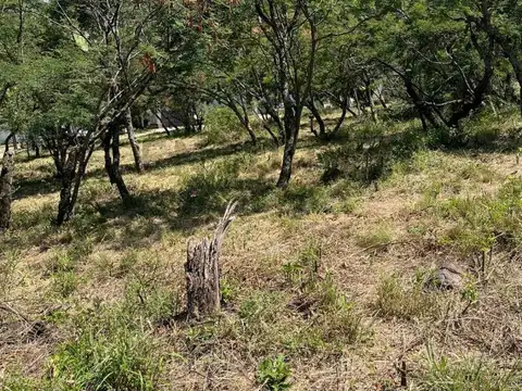 Terreno en Venta en Mendiolaza, Colón