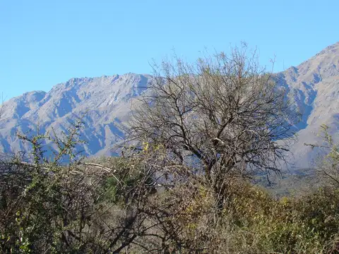Terreno en Venta en La Población, San Javier
