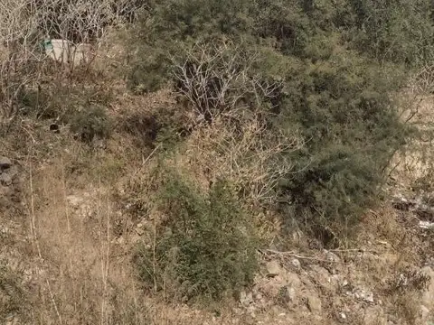 Terreno en Venta en Centro, Villa Carlos Paz