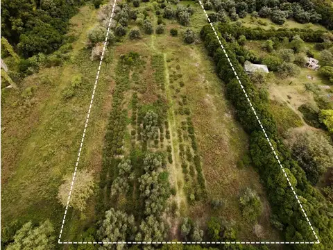 Terreno en Venta en Villa de las Rosas, San Javier