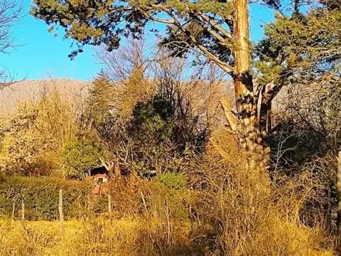 Terreno en Venta en Las Calles, San Alberto