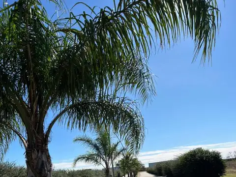 Terreno en Venta en Malagueño, Santa María