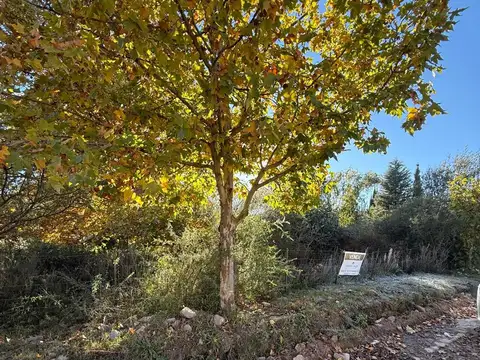 Terreno en Venta en La Cumbre, Punilla