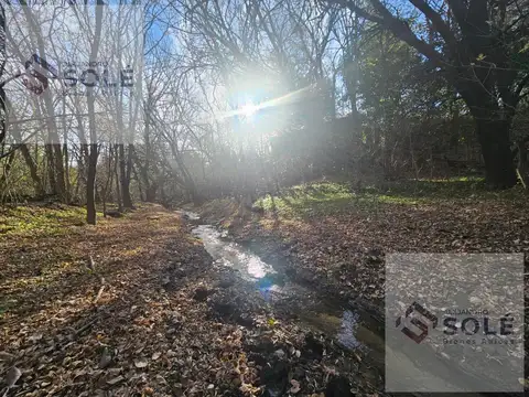 Terreno en Venta en Salsipuedes, Colón
