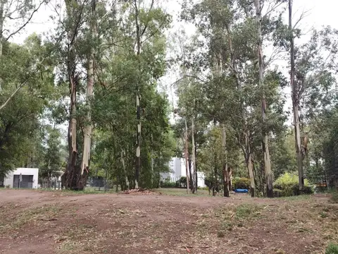 Terreno en Venta en Villa Maria, General San Martín